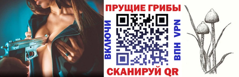 ссылка на мегу ссылки Нестеровская Галлюциногенные грибы GOLDEN TEACHER